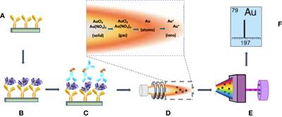 Sensitive Immunoassay Detection of Plasmodium Lactate Dehydrogenase by Inductively Coupled Plasma Mass Spectrometry